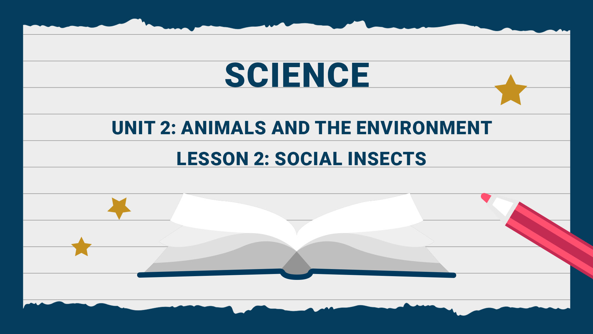 Lesson 2: Social Insects